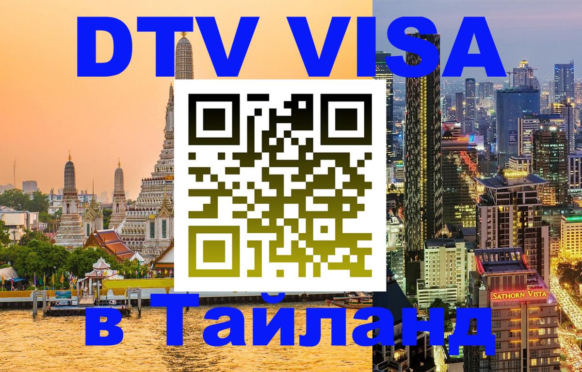 Оформление DTV визы под ключ: стоимость и тарифы, только загранпаспорт - Ереван 